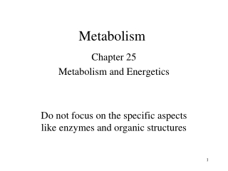 Metabolism