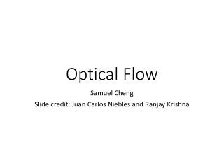 Optical Flow