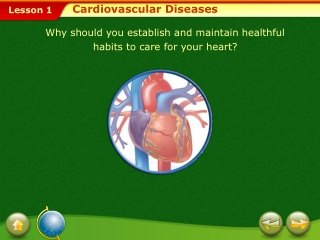 Cardiovascular Diseases