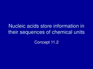 Nucleic acids store information in their sequences of chemical units