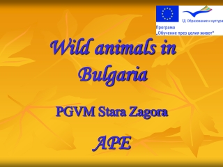 Wild animals in Bulgaria