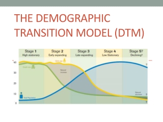 The Demographic Transition Model (DTM)