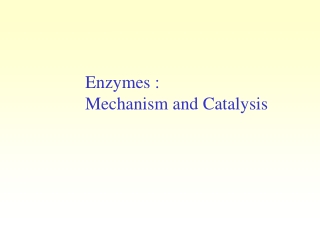 Enzymes : Mechanism and Catalysis