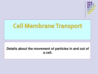 Details about the movement of particles in and out of a cell.