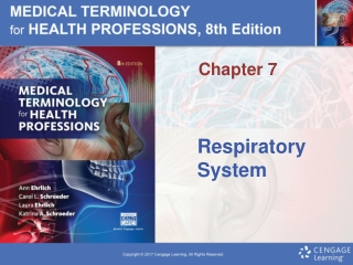 Respiratory System