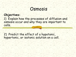 Osmosis