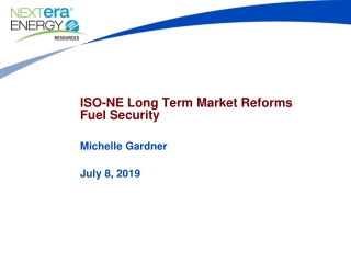 ISO-NE Long Term Market Reforms Fuel Security