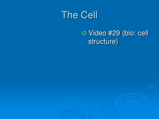 The Cell