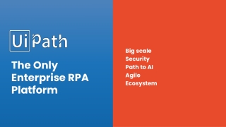 Big scale Security Path to AI Agile  Ecosystem