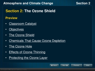 Section 2:  The Ozone Shield