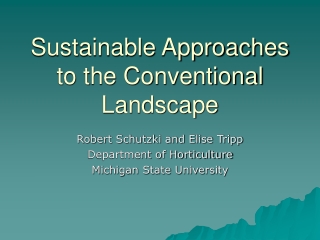 Sustainable Approaches to the Conventional Landscape