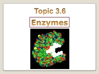 Enzymes