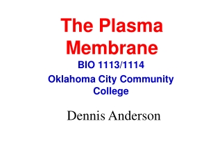 The Plasma Membrane