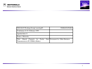 SHARED CHANNELS FOR PACKET DATA TRANSMISSION IN W-CDMA