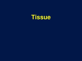 Tissue