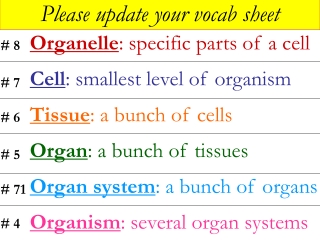 Organelle : specific parts of a cell Cell : smallest level of organism Tissue : a bunch of cells