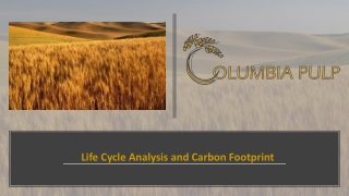 Life Cycle Analysis and Carbon Footprint