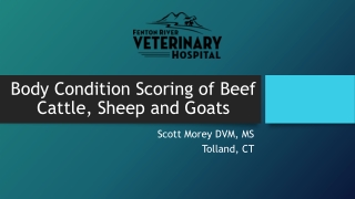 Body Condition Scoring of Beef Cattle, Sheep and Goats