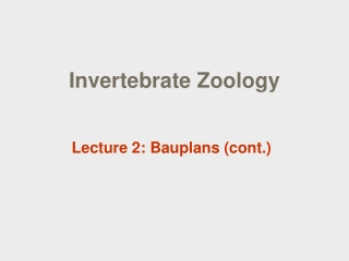 Invertebrate Zoology