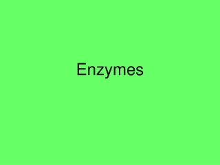 Enzymes