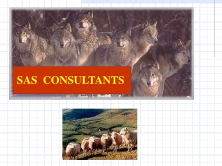 SAS  CONSULTANTS