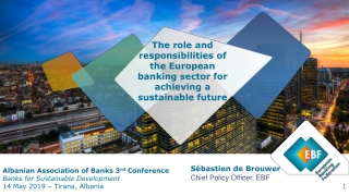 The role and responsibilities of the European banking sector for achieving a sustainable future