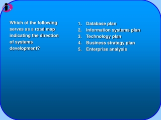 Which of the following serves as a road map indicating the direction of systems development?