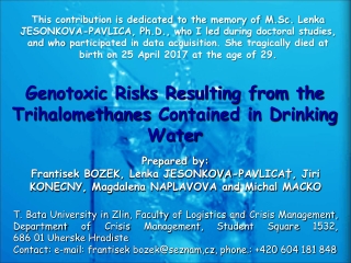 Genotoxic Risks Resulting from the  Trihalomethanes  Contained in Drinking Water