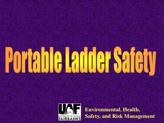 Portable Ladder Safety