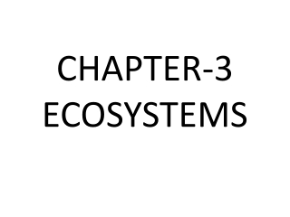 CHAPTER-3 ECOSYSTEMS