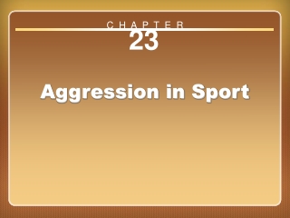 Chapter 23: Aggression in Sport