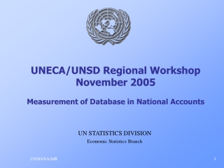 UNECA/UNSD Regional Workshop November 2005 Measurement of Database in National Accounts