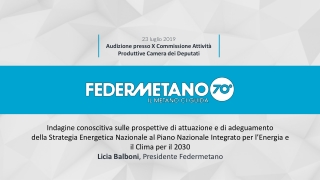 Indagine  conoscitiva sulle prospettive di attuazione e di adeguamento