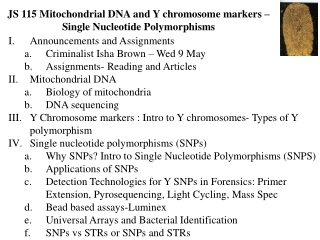 JS 115 Mitochondrial DNA and Y chromosome markers  –  Single Nucleotide Polymorphisms