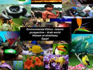 Environmental Ethics –Islamic prospective – Arab world  Hisham el- shishtawy Egypt