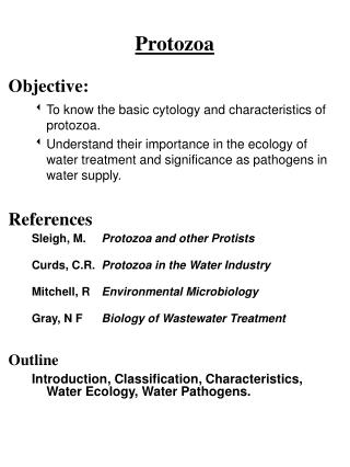 Protozoa