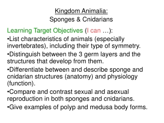 Kingdom Animalia: Sponges &amp; Cnidarians Learning Target Objectives  ( I can  …):