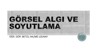 GÖRSEL ALGI VE SOYUTLAMA