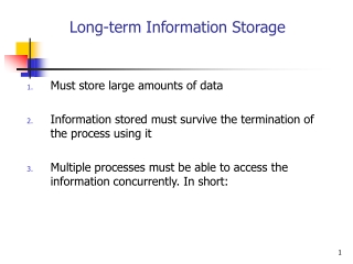 Long-term Information Storage