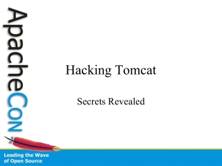 Hacking Tomcat