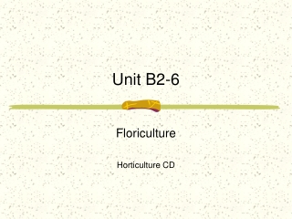 Unit B2-6