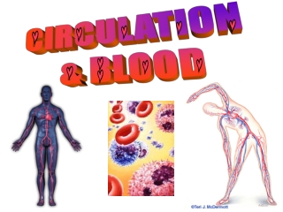 CIRCULATION  &amp; BLOOD