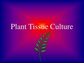 Plant Tissue Culture