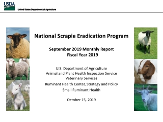 National Scrapie Eradication Program September 2019  Monthly Report   Fiscal Year  2019