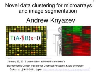 Novel data clustering for microarrays and image segmentation
