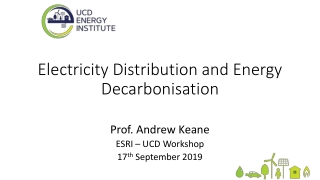 Electricity Distribution and Energy Decarbonisation