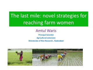 The last mile: novel strategies for reaching farm women