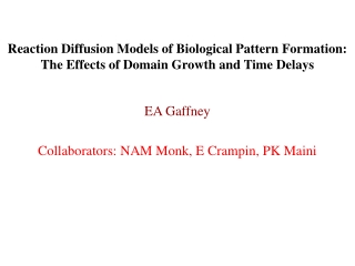 EA Gaffney Collaborators: NAM Monk, E Crampin, PK Maini