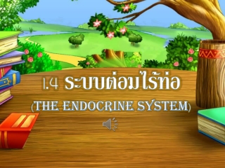 1.4  ระบบต่อมไร้ท่อ  ( The Endocrine System )