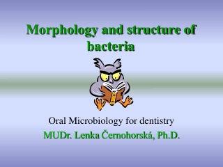 Morphology and structure of bacteria